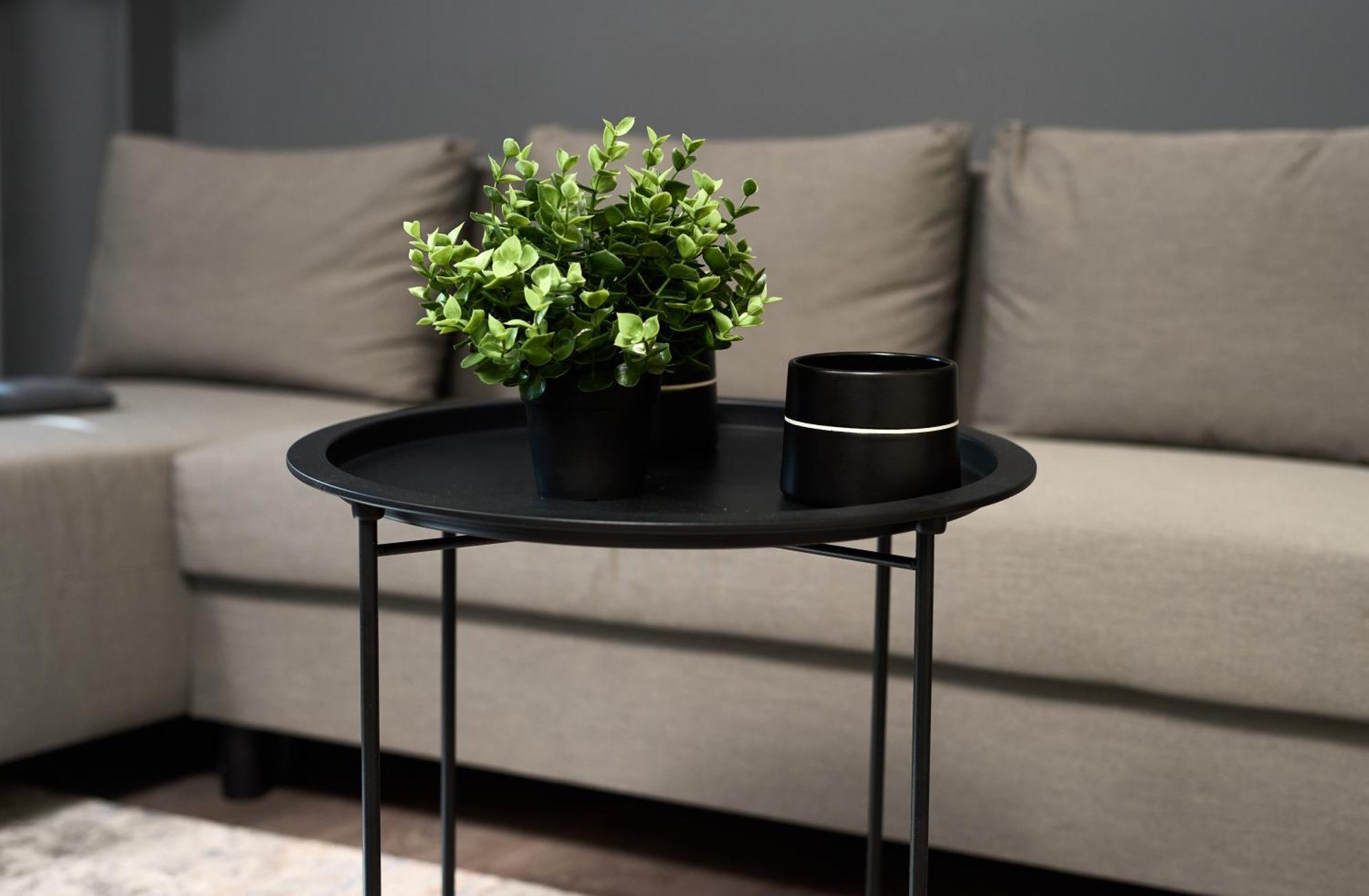 Downtown Boutique Apartments ノヴィ・サド エクステリア 写真